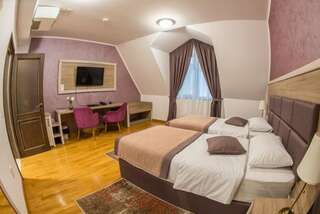 Отель Club Bucovina Гура-Гуморулуй Стандартный двухместный номер с 1 кроватью или 2 отдельными кроватями-1